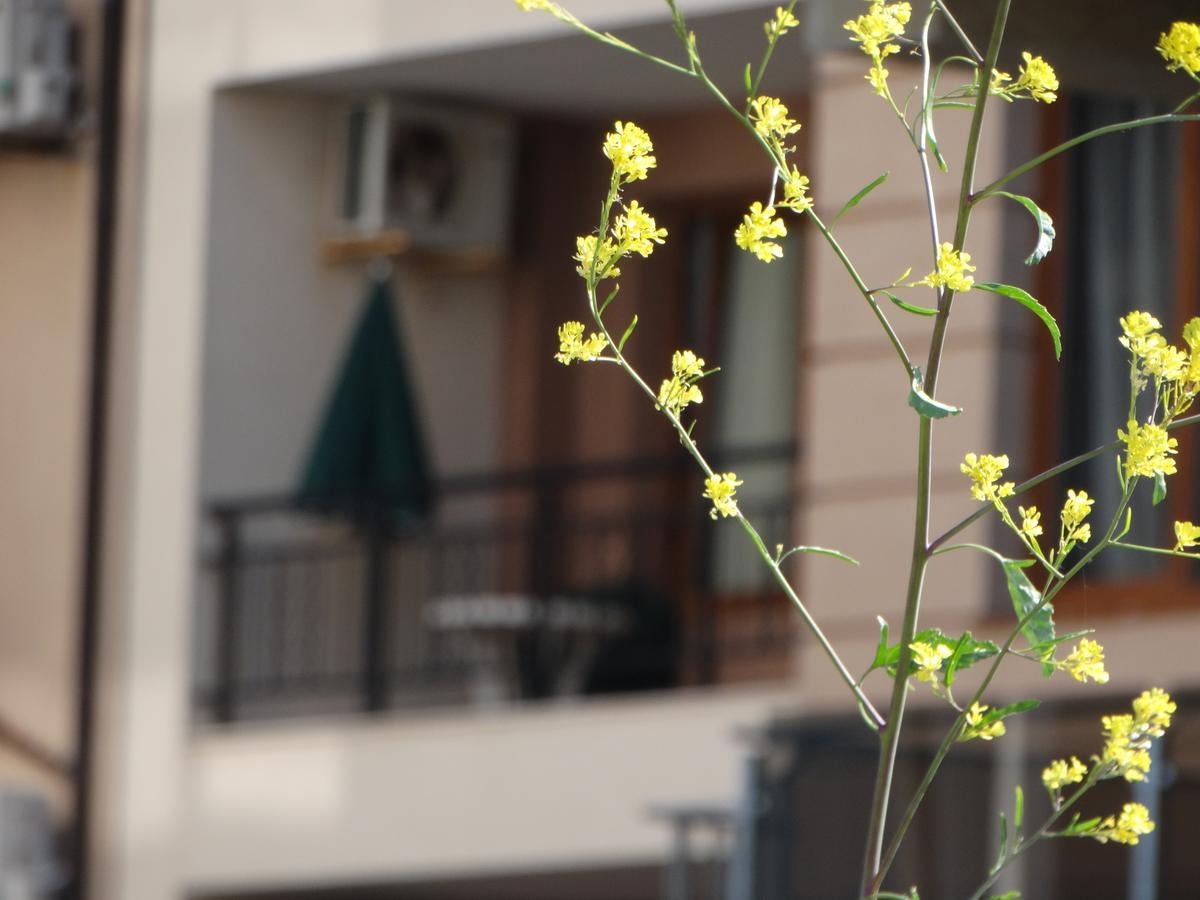 ポモリエLora Boutiqueアパートメント エクステリア 写真